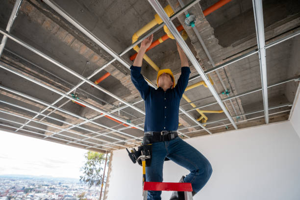 Best Best Plumbers Near Me  in Forest Lake, IL