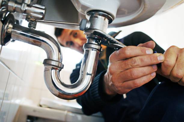 Best Clogged Drain Plumber  in Forest Lake, IL