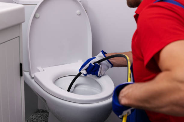 Best Affordable Plumbing Services  in Forest Lake, IL