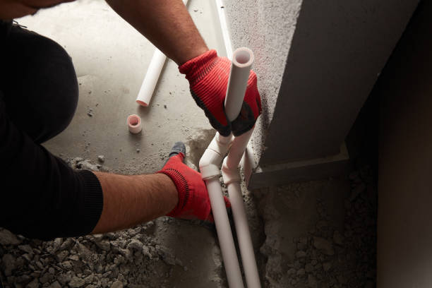 Best Commercial Plumbing Services  in Forest Lake, IL