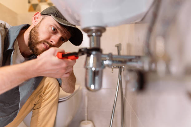 Best Boilers & Radiators  in Forest Lake, IL
