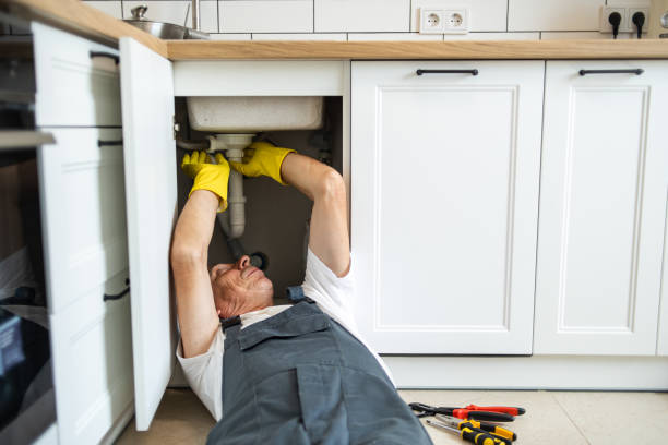 Best Sewer Cleaning Services  in Forest Lake, IL