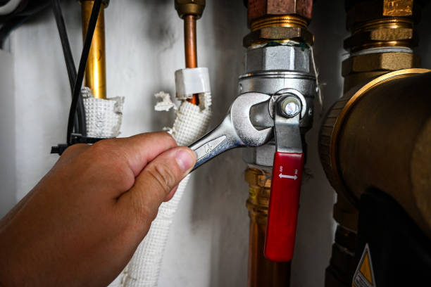 Best Affordable Plumber Near Me  in Forest Lake, IL